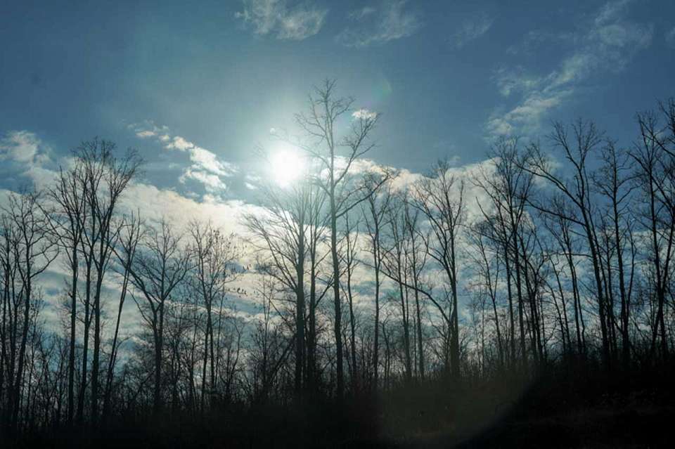 Какой будет погода в воскресенье, 2 ноября, в Воронежской области