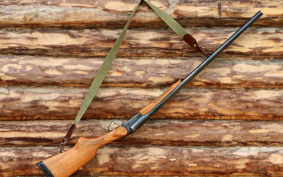 Скорее сдать разрешения на охоту призвали воронежцев