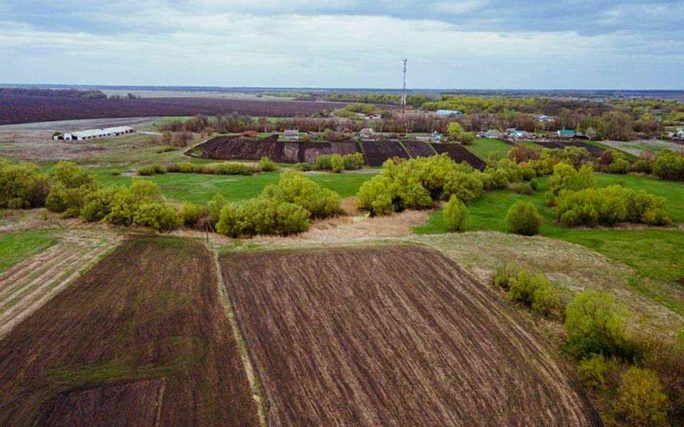Земельный участок забрали у фермера в Воронежской области по решению суда