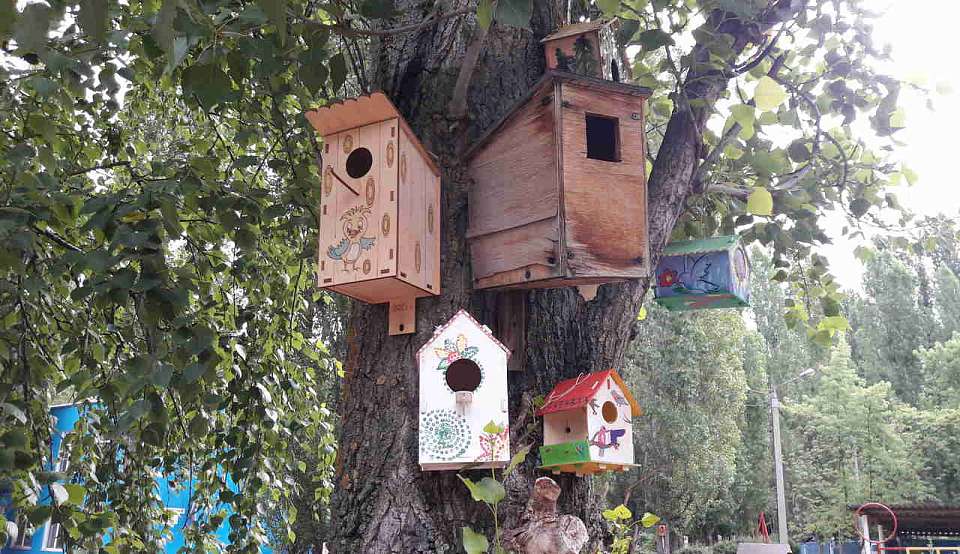 Подозреваемый в мошенничестве на 12 млн под видом строительных работ воронежец задержан