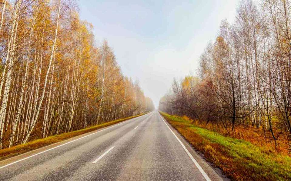 К какой погоде приготовиться воронежцам 26 ноября, рассказали синоптики