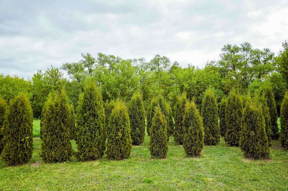 Земельный контроль в каждом муниципалитете Воронежской области будет вестись по единым правилам