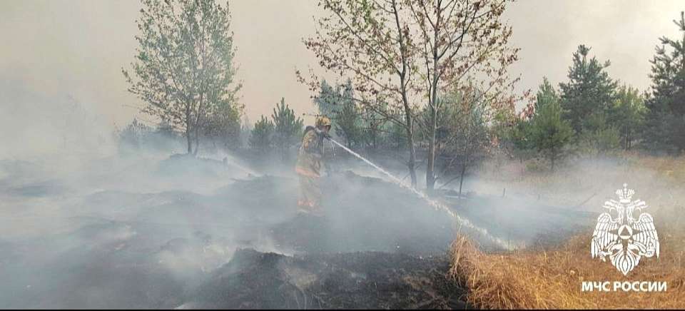 Губернатор рассказал о крупных пожарах в Воронежской области