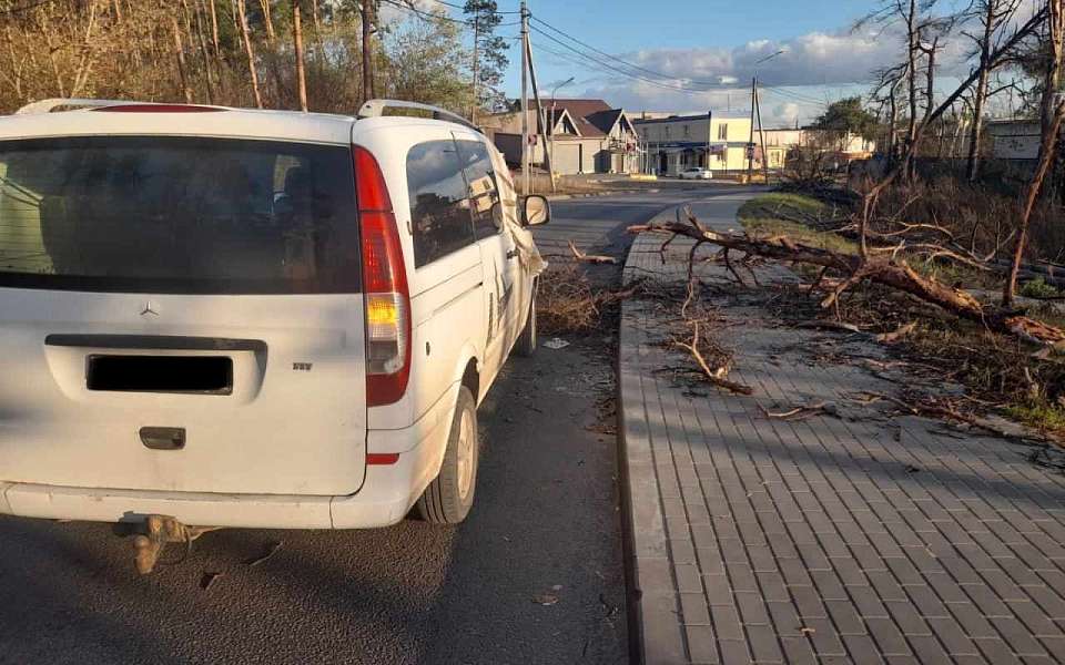 Минивэн «Мерседес» врезался в упавшее дерево в Воронеже