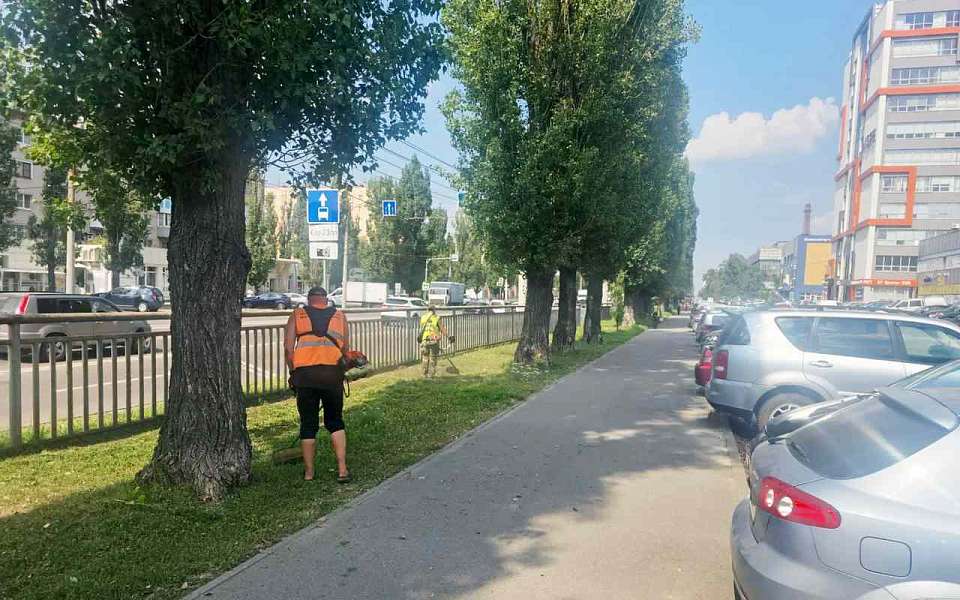 Сезонная стрижка зеленых зон продолжается
