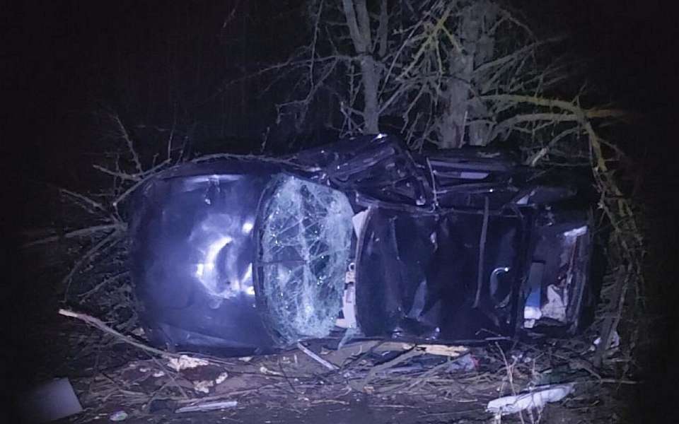 Насмерть разбилась жительница Подмосковья на «Ладе» в воронежском селе