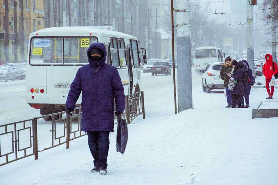 Депутат призвал перевести сотрудников и школьников на дистант из-за снегопада