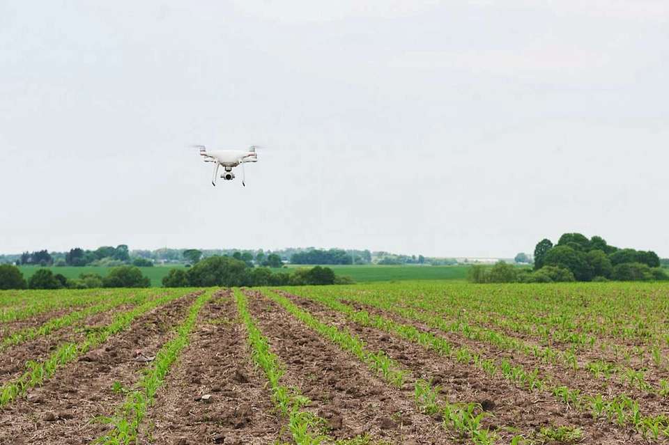 Продлили запрет на использование дронов для сельского хозяйства в Воронежской области