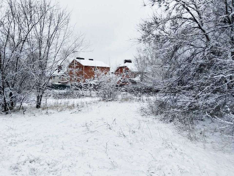 Мокрый снег и гололедицу обещают синоптики днем 11 января в Воронежской области