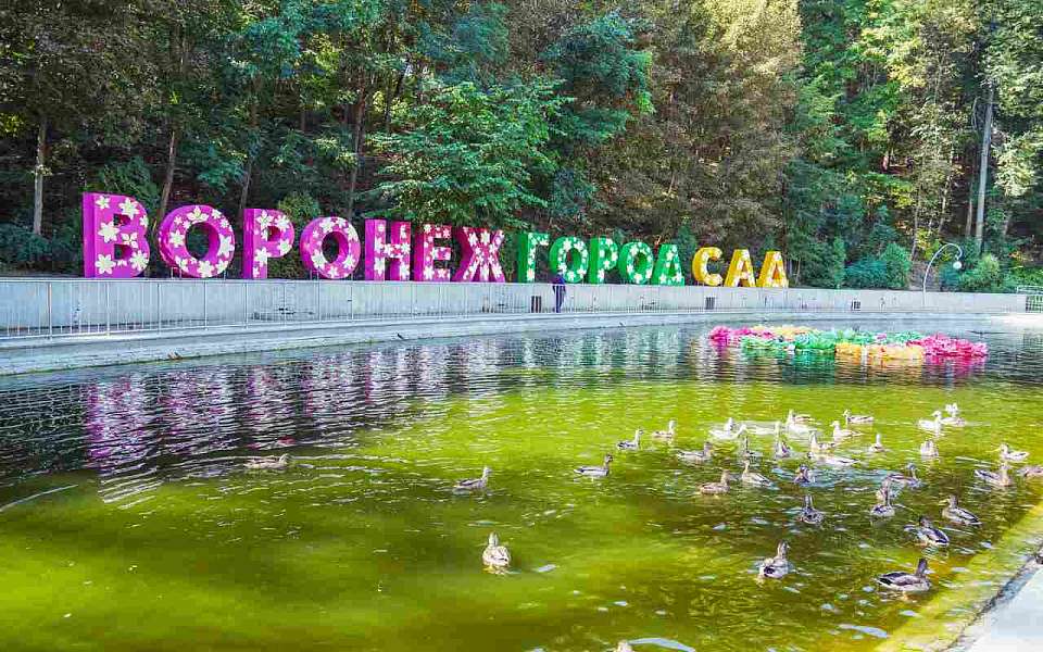 Фестиваль «Город-сад» будут охранять от беспилотников в Воронеже