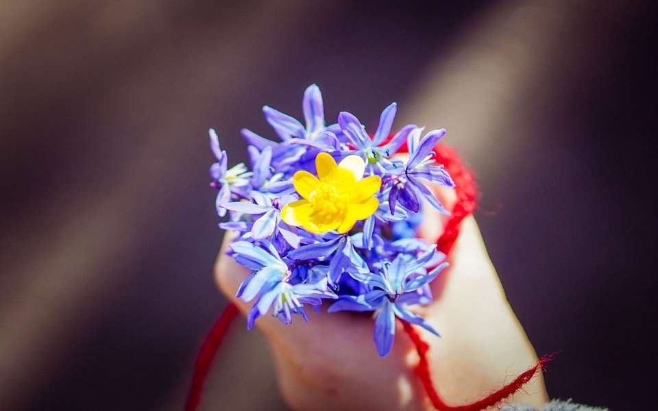 Потеплеет до +15 градусов на рабочей неделе в Воронежской области