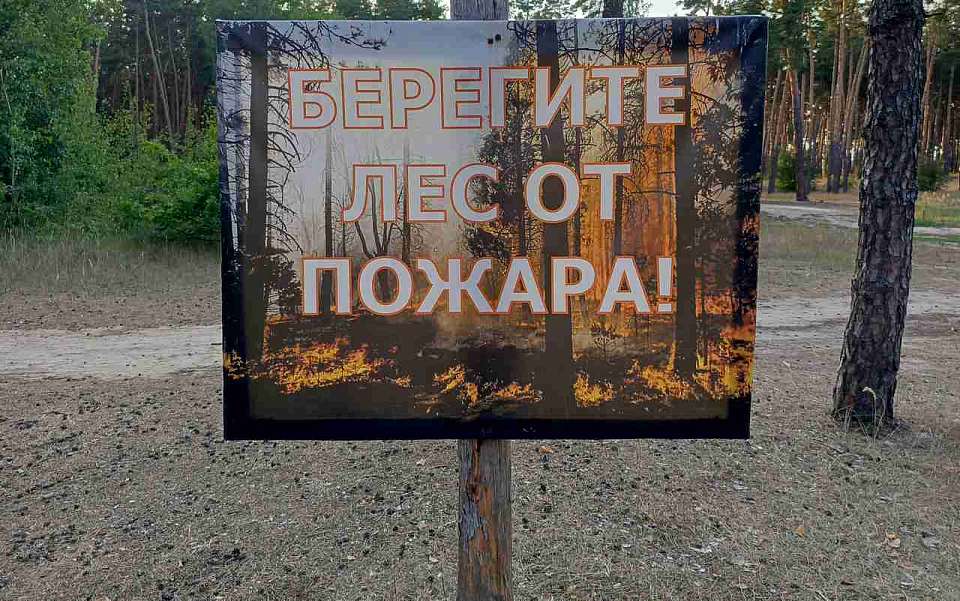 Увеличилось число районов с V классом пожарной опасности в Воронежской области