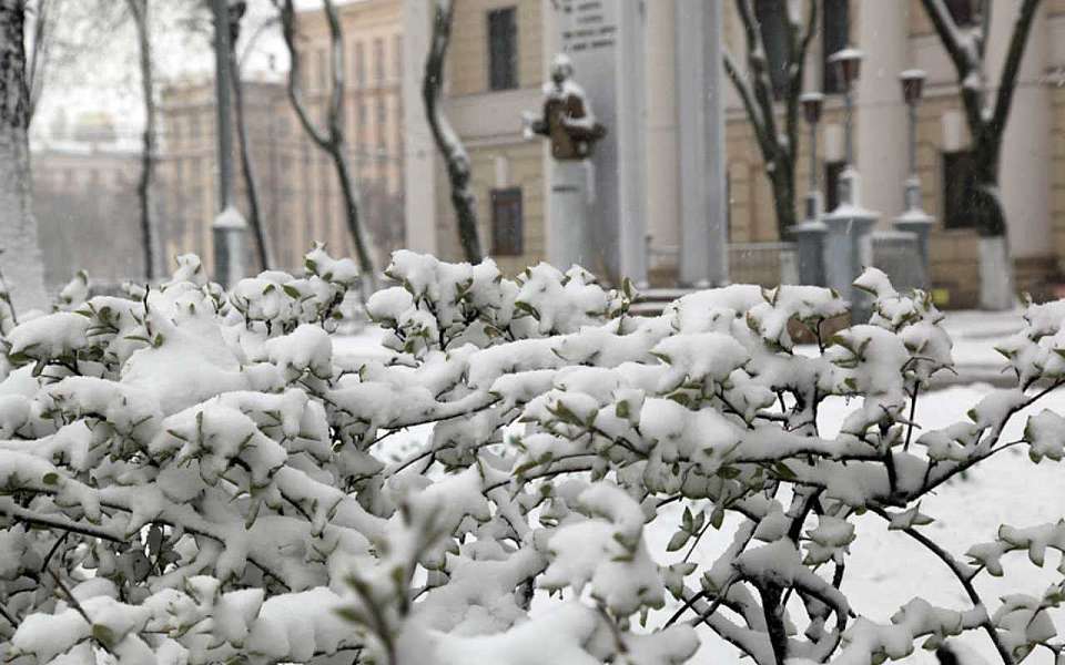 Три опасных погодных явления обрушатся 28 января на Воронежскую область