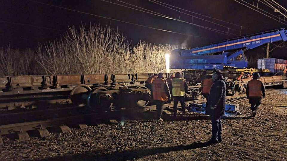 Два грузовых вагона сошли с рельсов на ж/д станции в Воронежской области