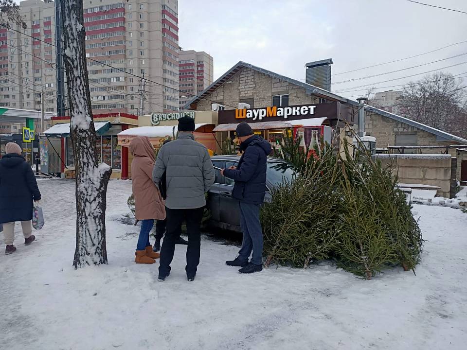 В Воронеже начались рейды по незаконной торговле ёлками