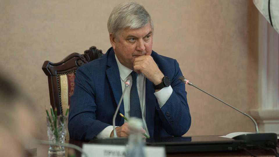 Об отсутствии очагов АЧС и сибирской язвы заявил глава Воронежской области