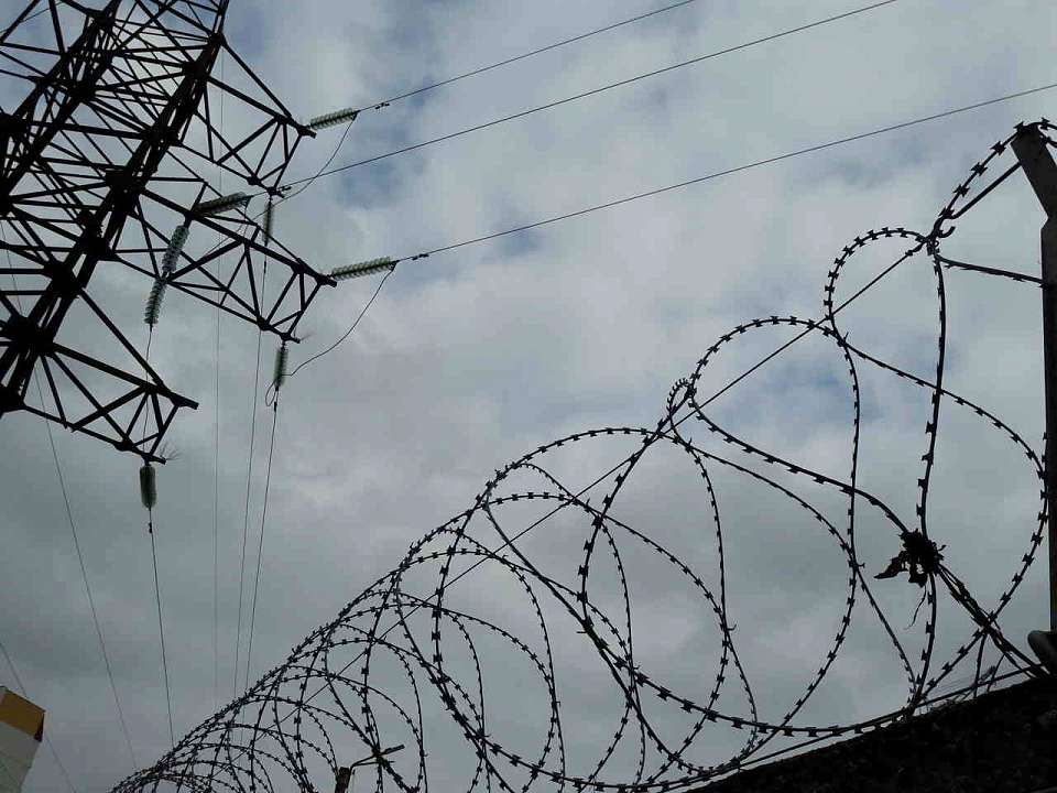 Воронежцы узнали, какой вклад вносят исправительные учреждения в экономику