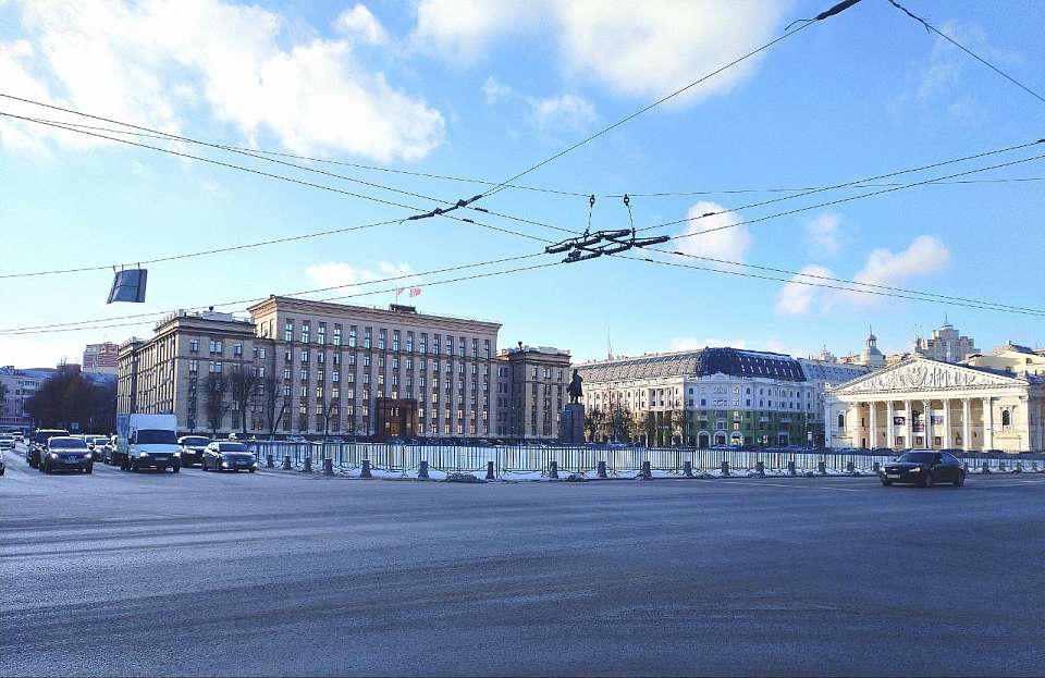 Главную елку Воронежа доставили на площадь Ленина