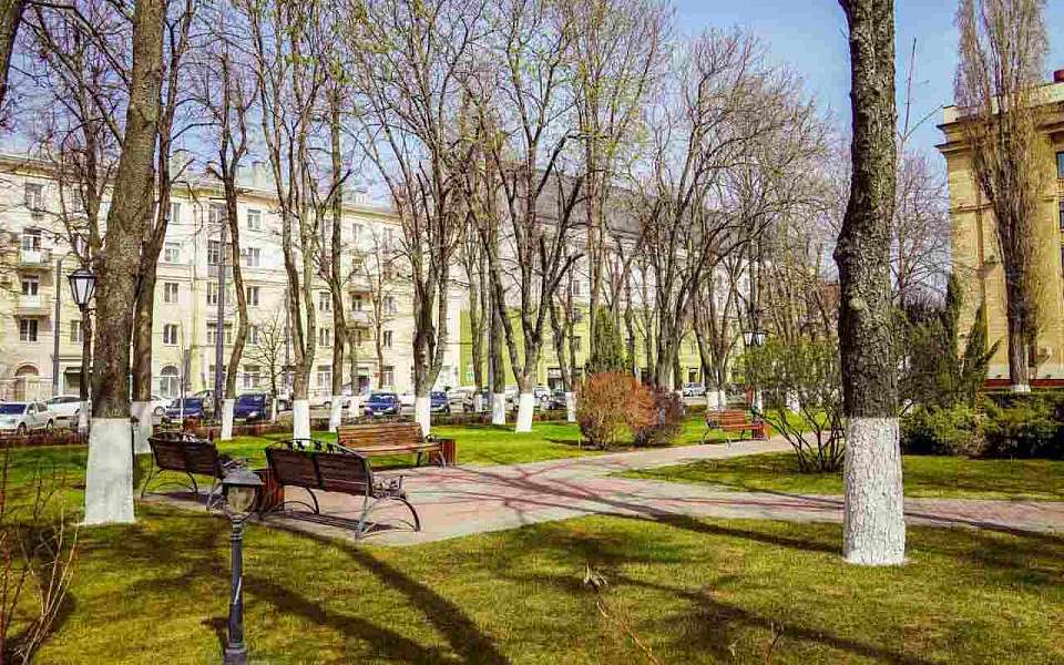 До +26 градусов потеплеет на рабочей неделе в Воронежской области