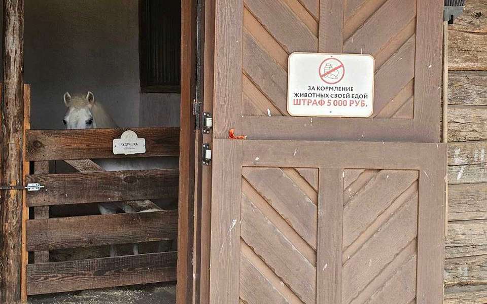 Работающий без лицензии зоопарк нашли в Воронежской области