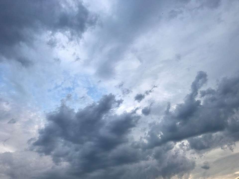 Прохладно и дождливо будет 11 апреля в Воронеже