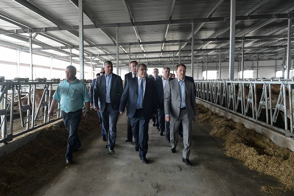 Бывший воронежский губернатор Алексей Гордеев предложил увеличить финансирование программы развития сельских территорий 