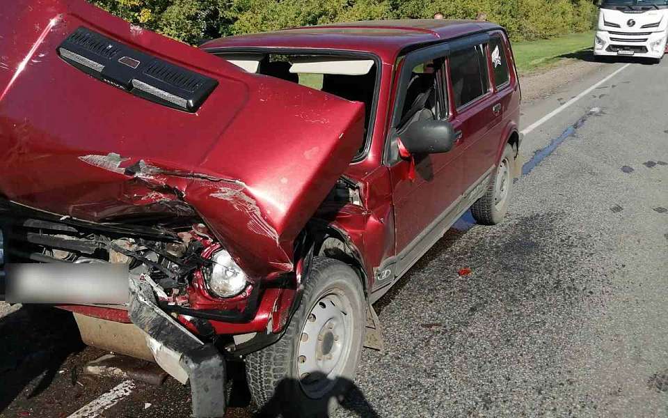 Четыре человека пострадали в ДТП «Нивы» с КамАЗом в Воронежской области