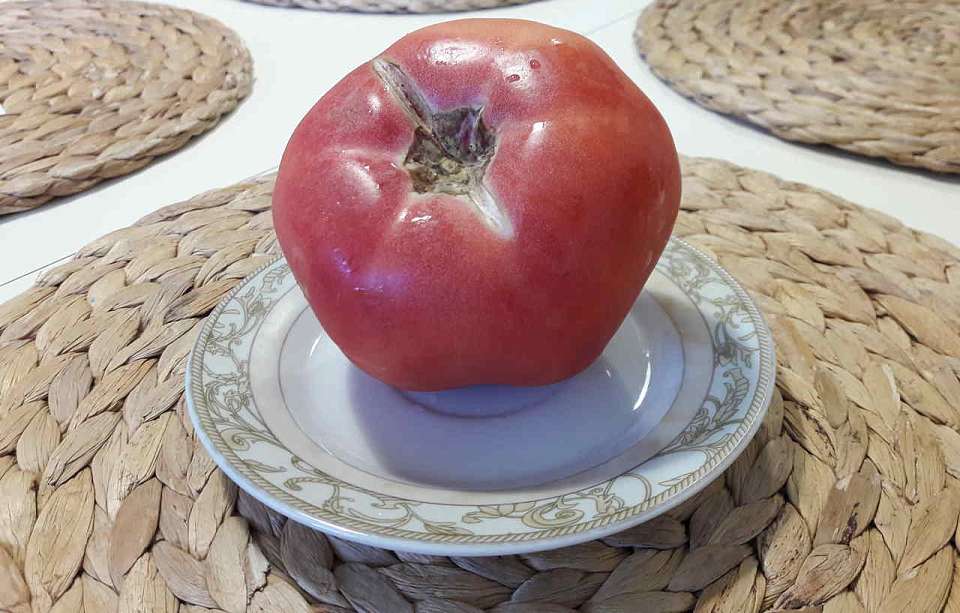 Сильно выросли в цене перец и помидоры в октябре в Воронежской области