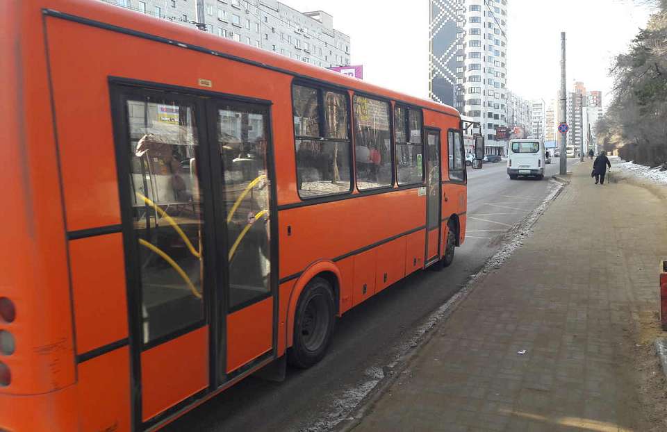 Определили максимальное число автобусов на трёх маршрутах в Воронеже