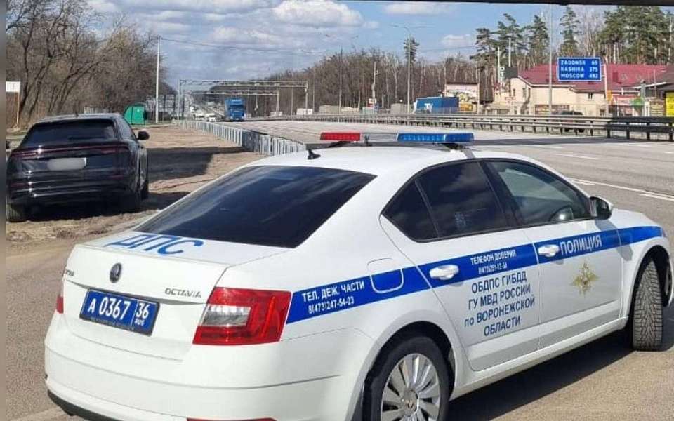 Водителя иномарки со штрафами на 300 тыс. рублей поймали под Воронежем