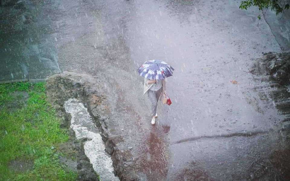 Похолодание и дожди ожидаются на предстоящей рабочей неделе в Воронежской области
