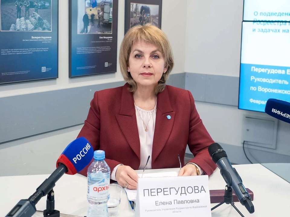 В Воронежской области насчитали 159 зон подтопления