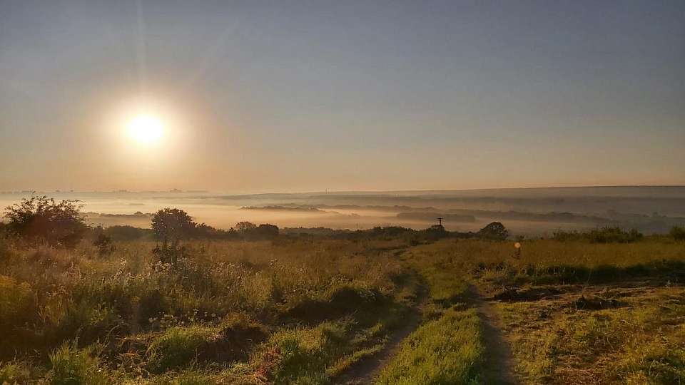 Через жару к резкому похолоданию придет погода на рабочей неделе в Воронежской области