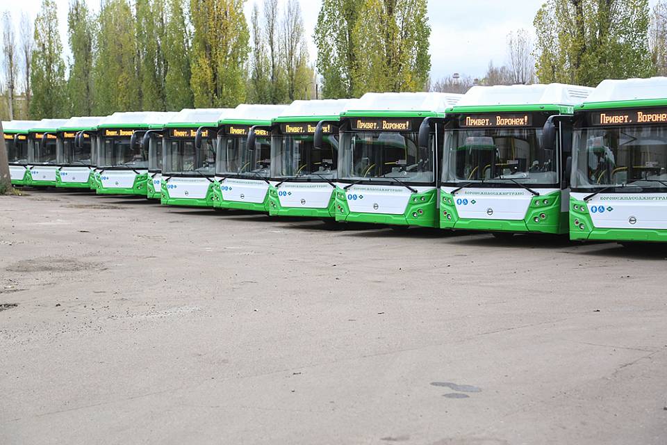 Большие низкопольные автобусы с 1 декабря повезут воронежцев по двум изменившимся маршрутам