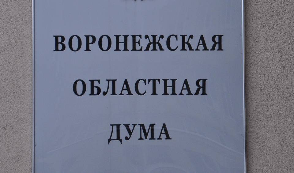 В Воронеже в 2,5 раза увеличили расходы на помощников областных депутатов