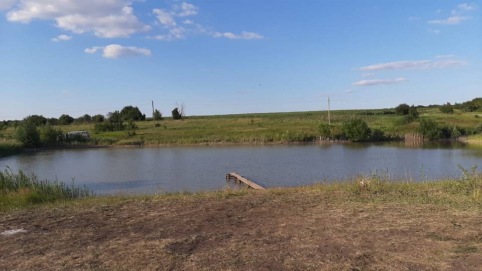 В Воронежской области в пруду утонул 17-летний парень