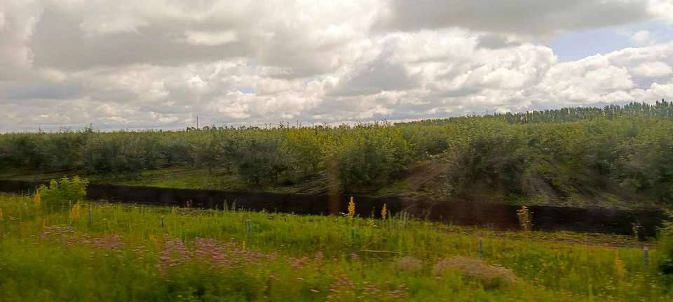 По инновациям в агропромышленном комплексе Воронежская область заняла 2 место в России