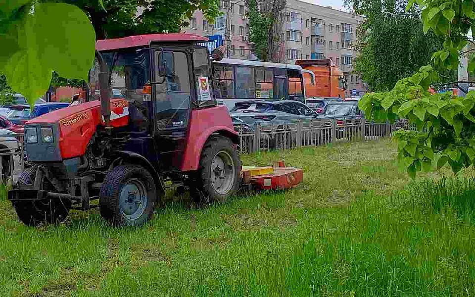 В Ленинском районе продолжают уделять повышенное внимание озелененным территориям