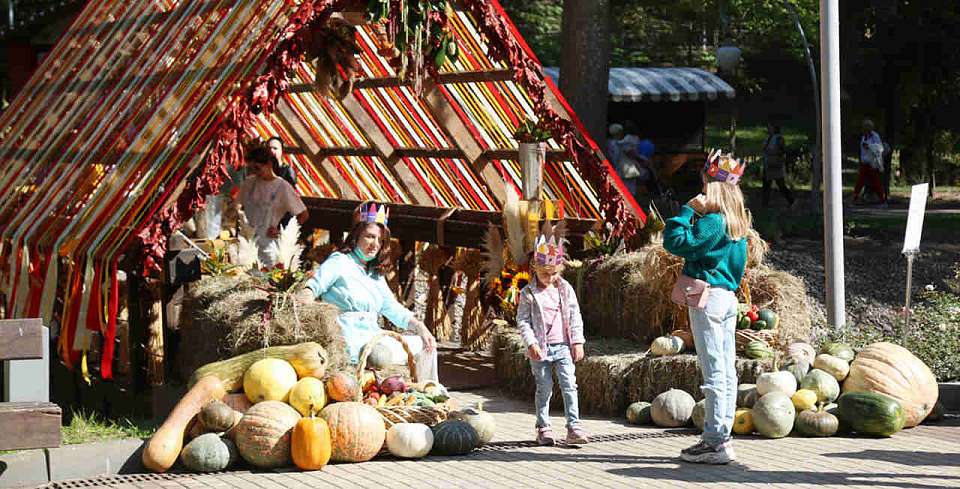 Чёрные кубы для фестиваля «Город-сад» в Воронеже установит «новогодний» подрядчик