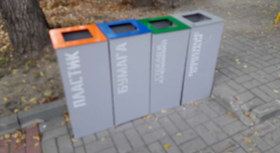 Объявлен конкурс на премию мэра Воронежа в сфере охраны окружающей среды в 2026 году