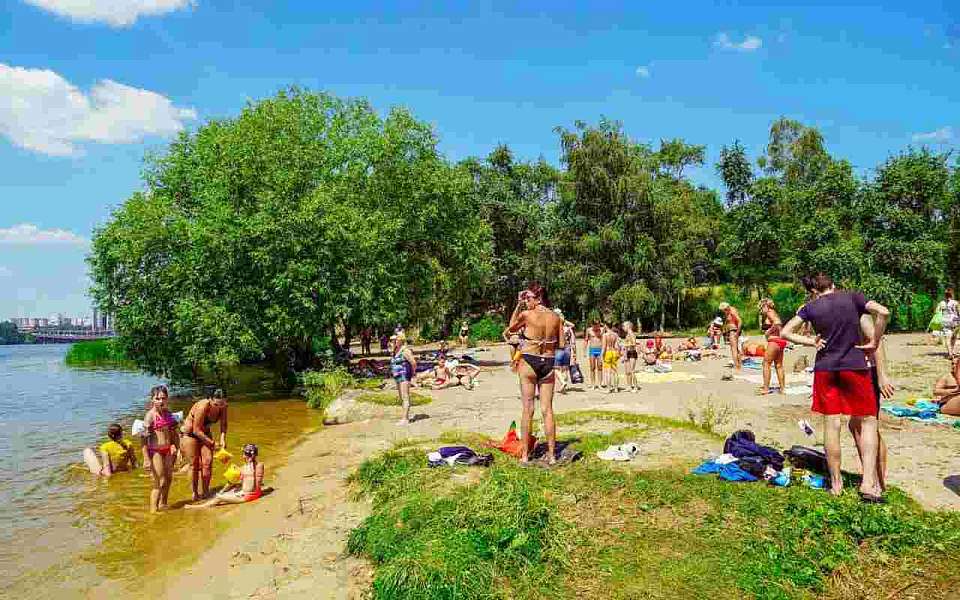 Благоустройством пляжа в Семилуках займется воронежская компания