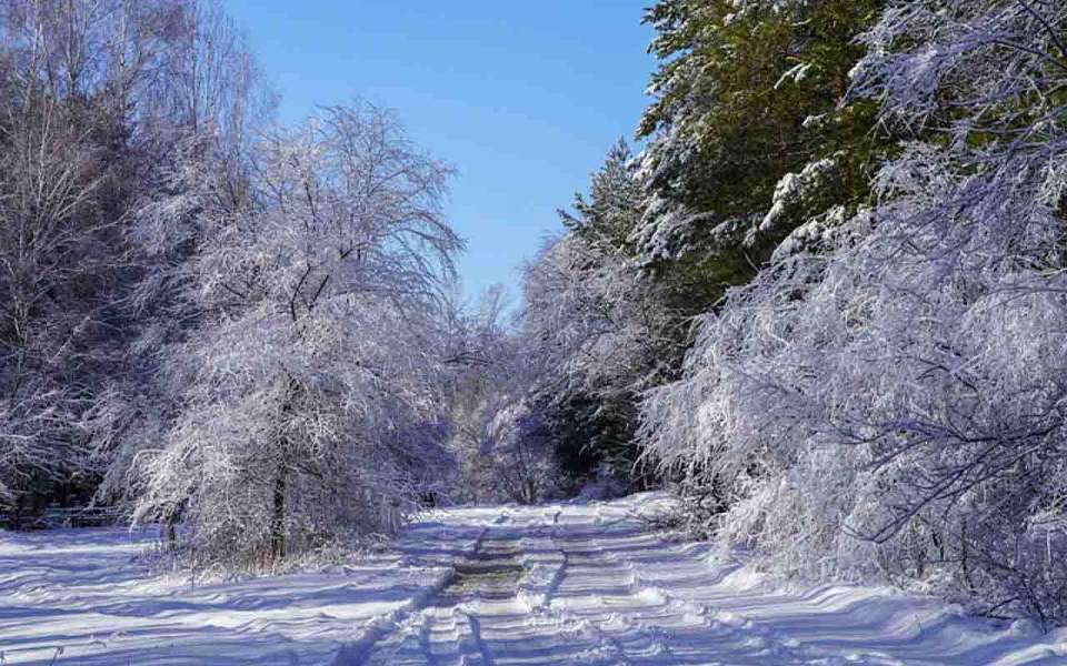 Морозы до -27 градусов ударят в выходные в Воронежской области