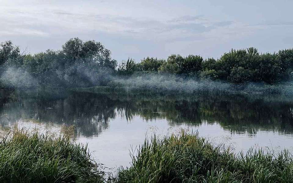 Нововоронежские школьники-фотолюбители стали призерами международного конкурса