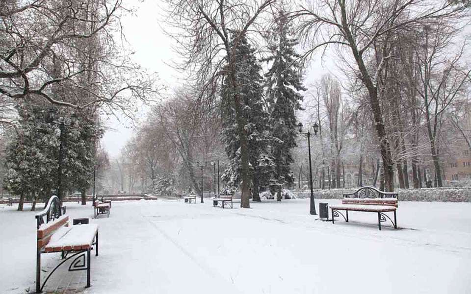 Морозными и метельными получатся выходные в Воронежской области