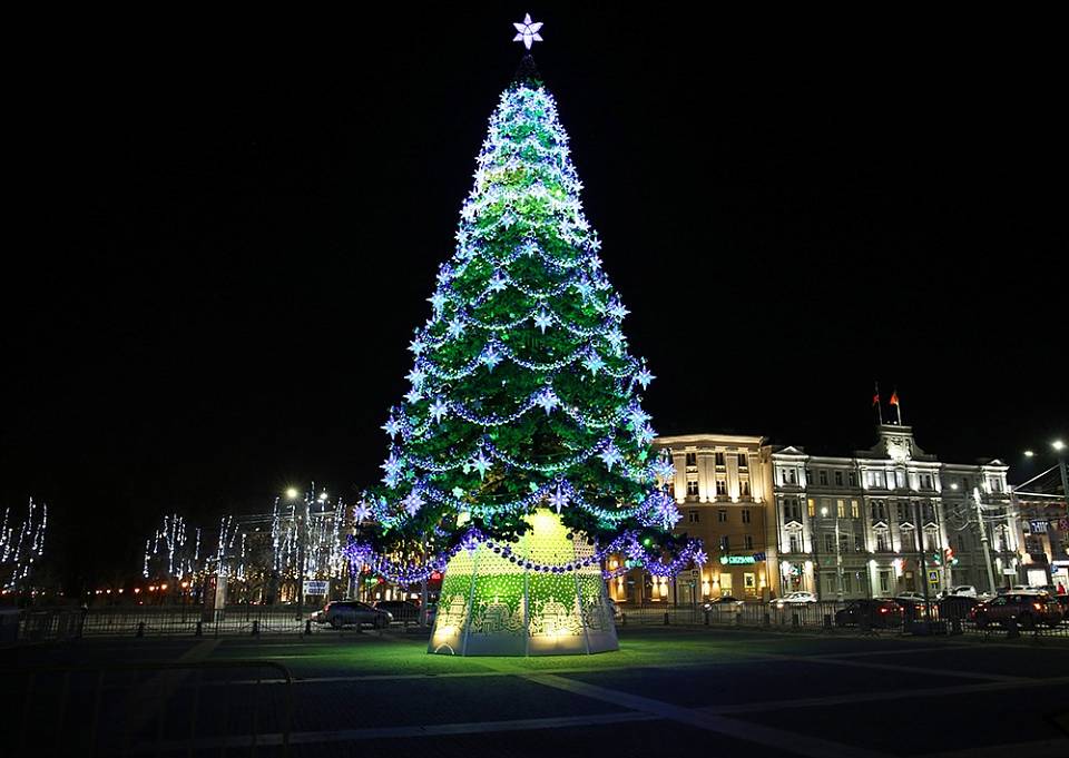 В Воронеже на площади Ленина зажгли новогоднюю елку 