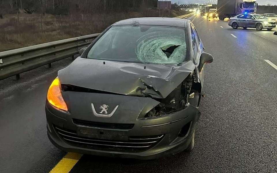 Девушка на Peugeot в Воронеже сбила насмерть перебегавшего М-4 «Дон» пешехода