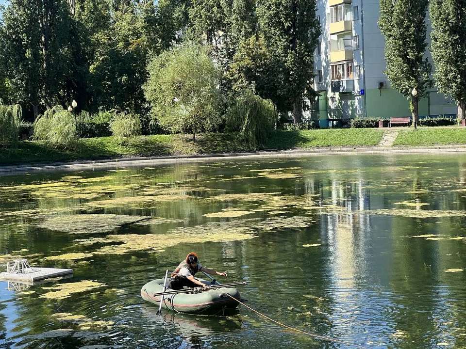 В Воронеже в сквере "У озера" почистили водоем