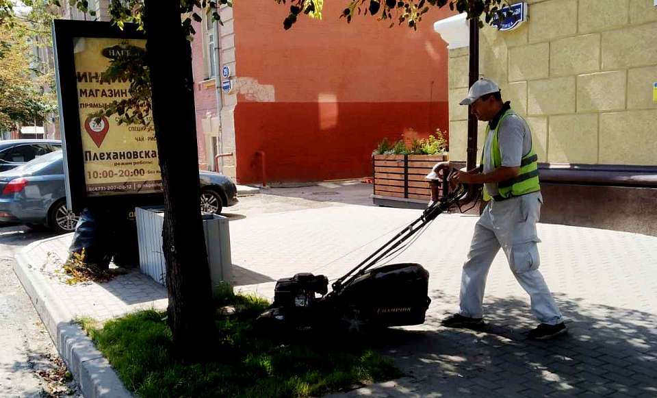 В Ленинском районе забота о зелёных насаждениях одна из приоритетных задач