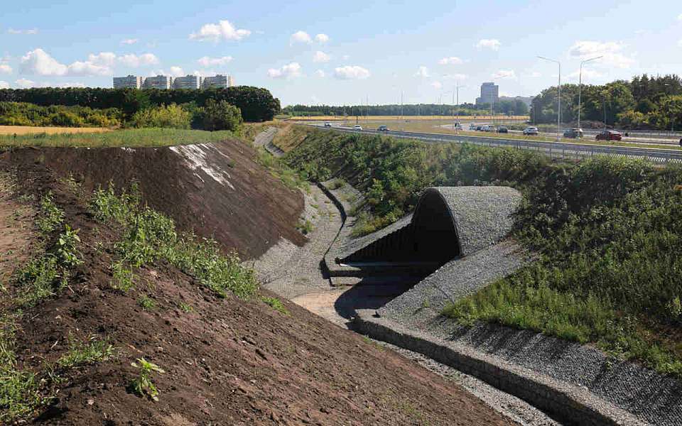 Масштабную ливневку строят в центре Воронежа 