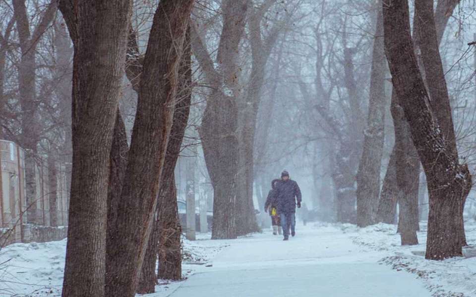 Снегопады и метели разразятся на рабочей неделе в Воронежской области